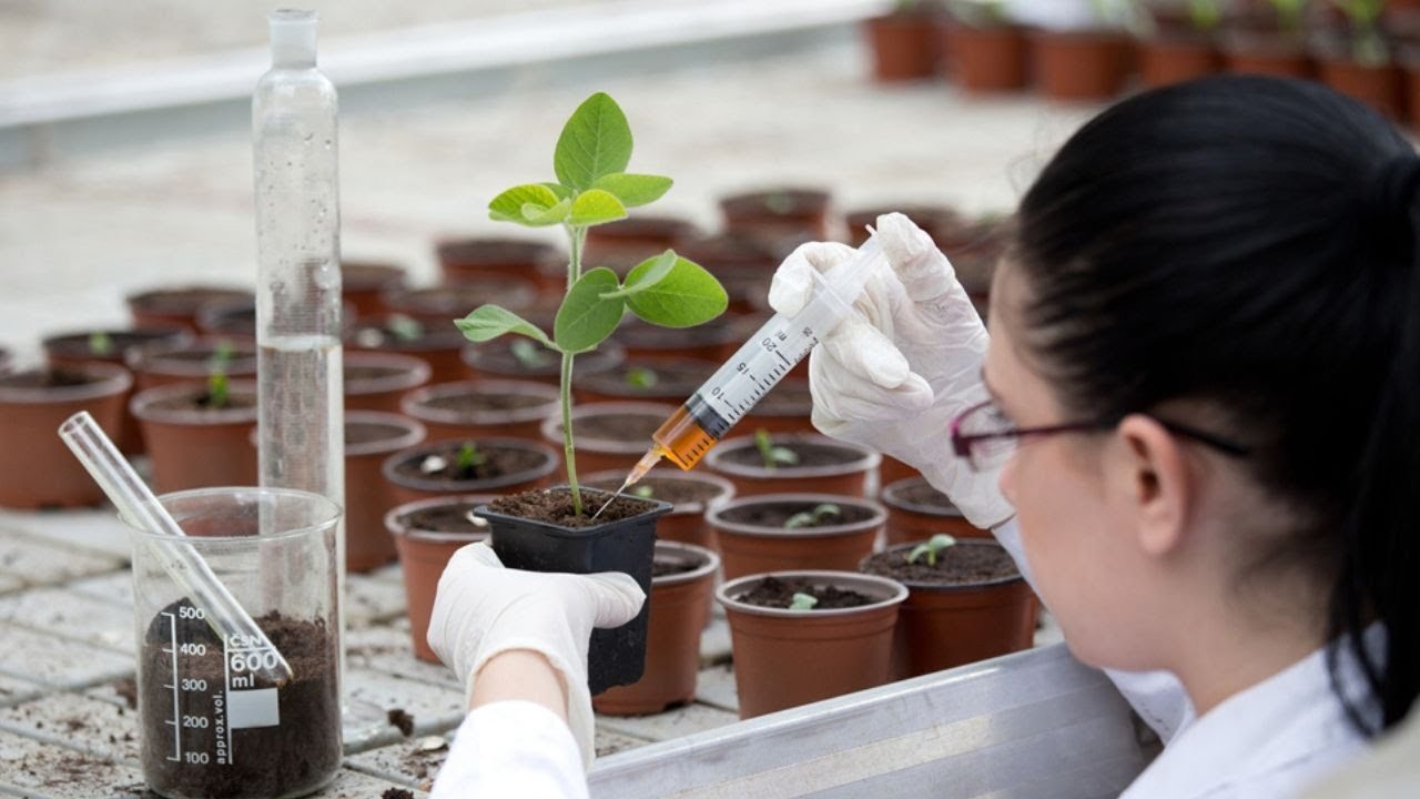 Ympäristöystävällisen lannoitteen valmistaminen tyhjästä: tutkijat ovat kehittäneet menetelmän, jolla ammoniakkia voidaan tuottaa ilman päästöjä huoneenlämmössä käyttämällä kalsiumia.