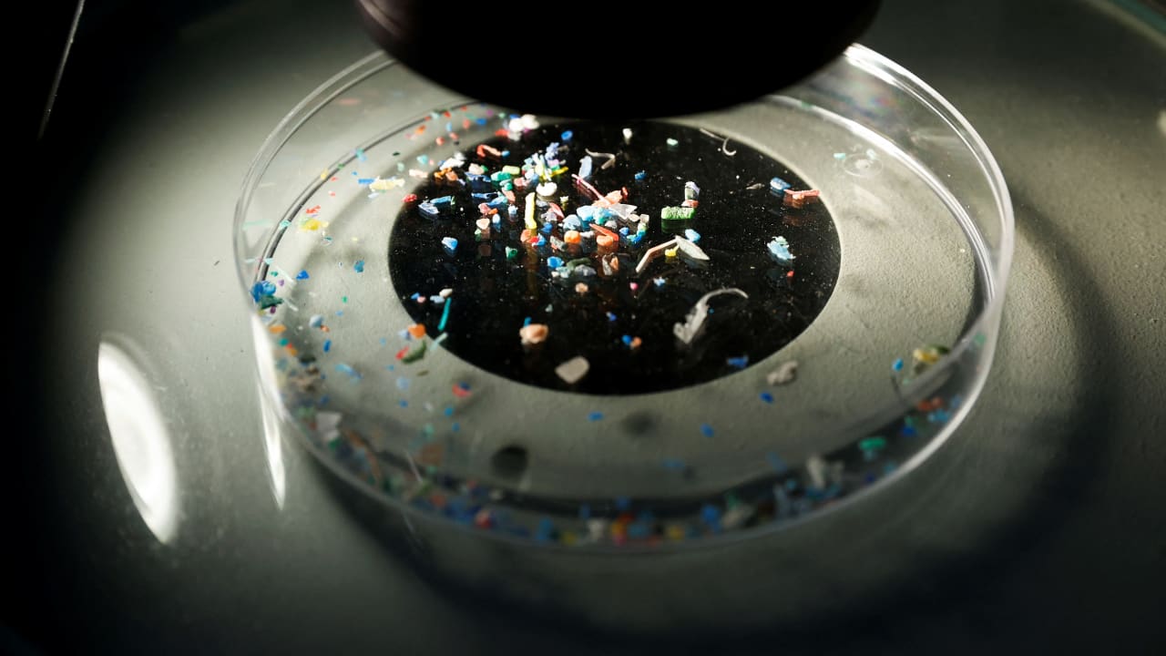 Yllättävä yhteys nanoplastin ja virusten ja bakteerien säilyvyyden välillä juomavedessä.