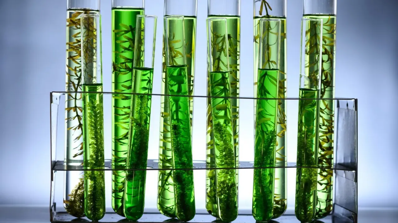 3 korkealaatuista proteiinin lähdettä yli 50-vuotiaille, jotka on helppo sisällyttää ruokavalioon.