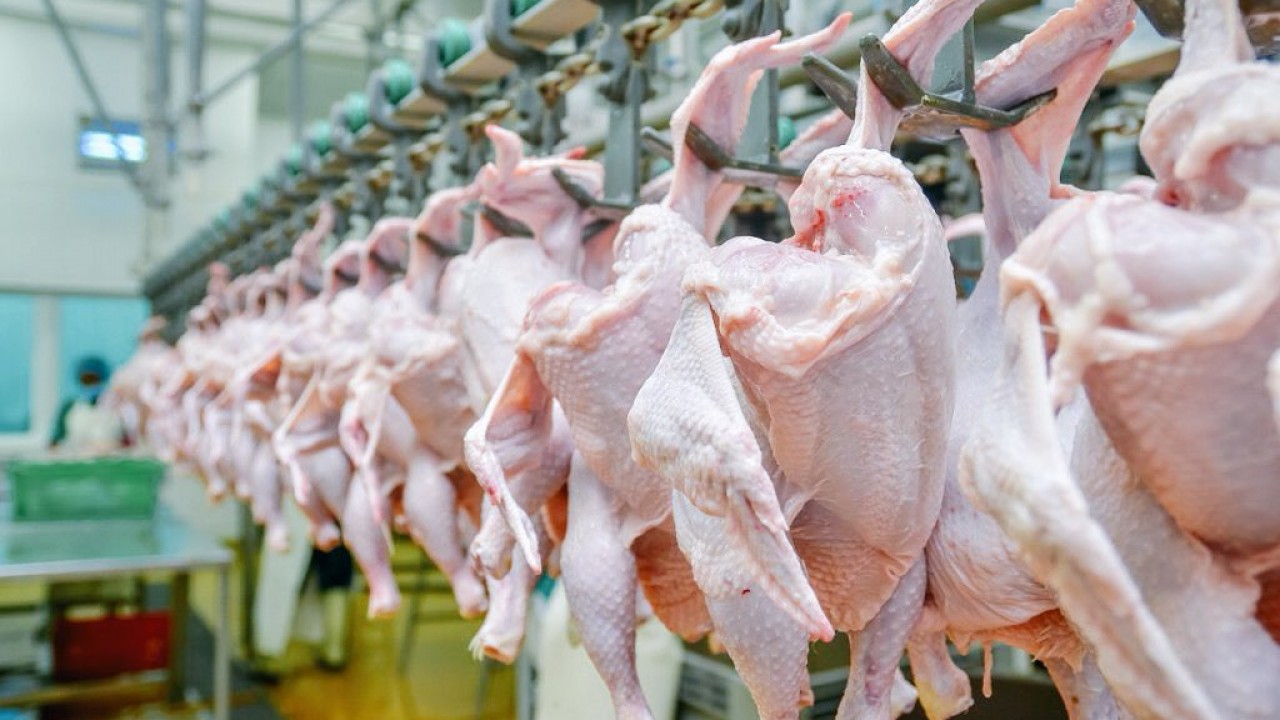 Seitsemässä osavaltiossa on vedetty pois yli kuusi tonnia kouluruokaloille tarkoitettua kananlihaa terveysriskien vuoksi.