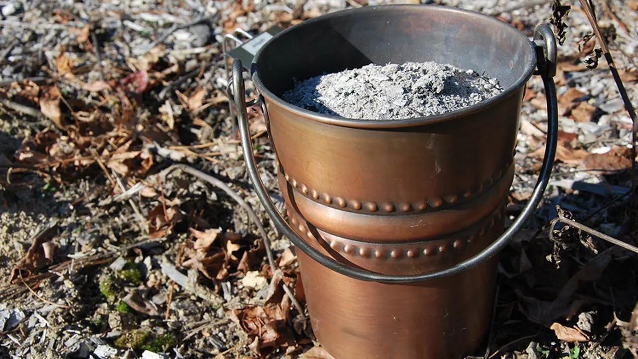 Jos sinulla on tuhkaa, sinulla on kultaa: kuinka käyttää sitä helposti ja nopeasti uudelleen kotona.