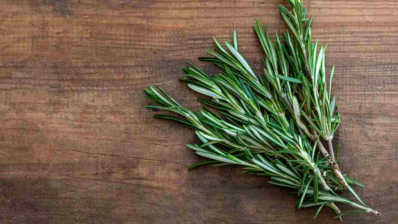 Mitä hyötyä on rosmariinin ja etikan sekoittamisesta, ja miksi sitä suositellaan?
