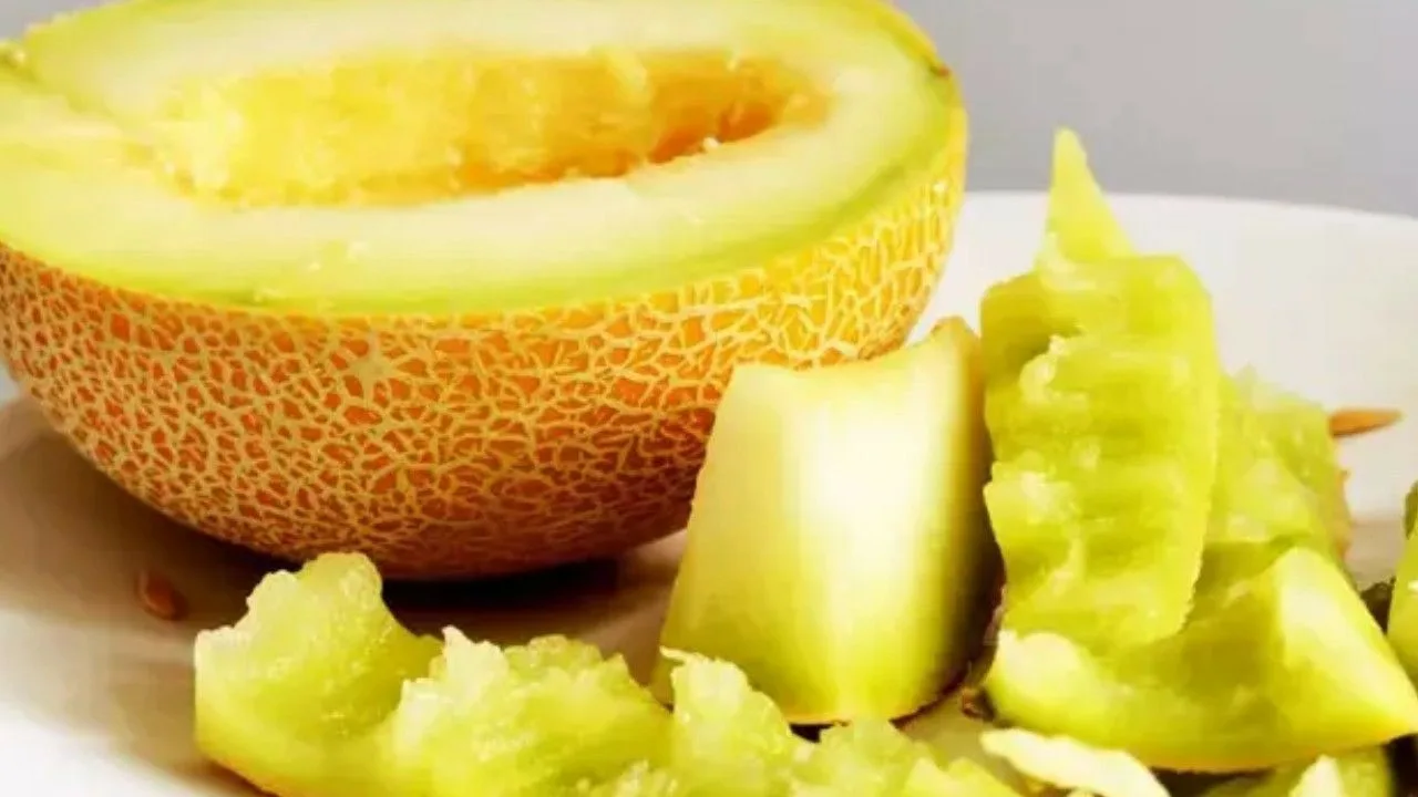 Mihin melonin kuori on hyödyllinen kasveille ja miten sitä käytetään.