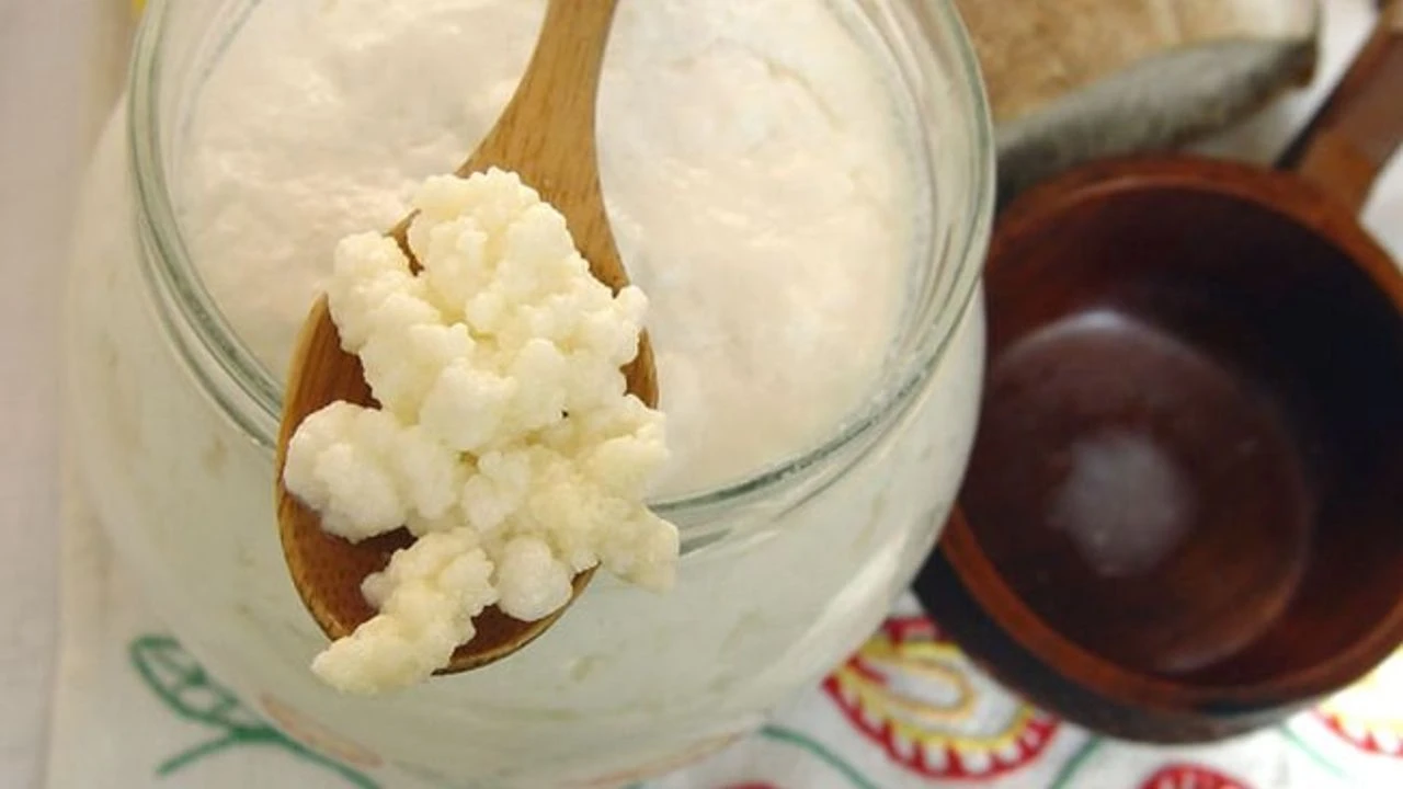 Kuinka valmistaa jyvät vesikefirille: helppo ja tehokas tapa kasvattaa niitä kotona.