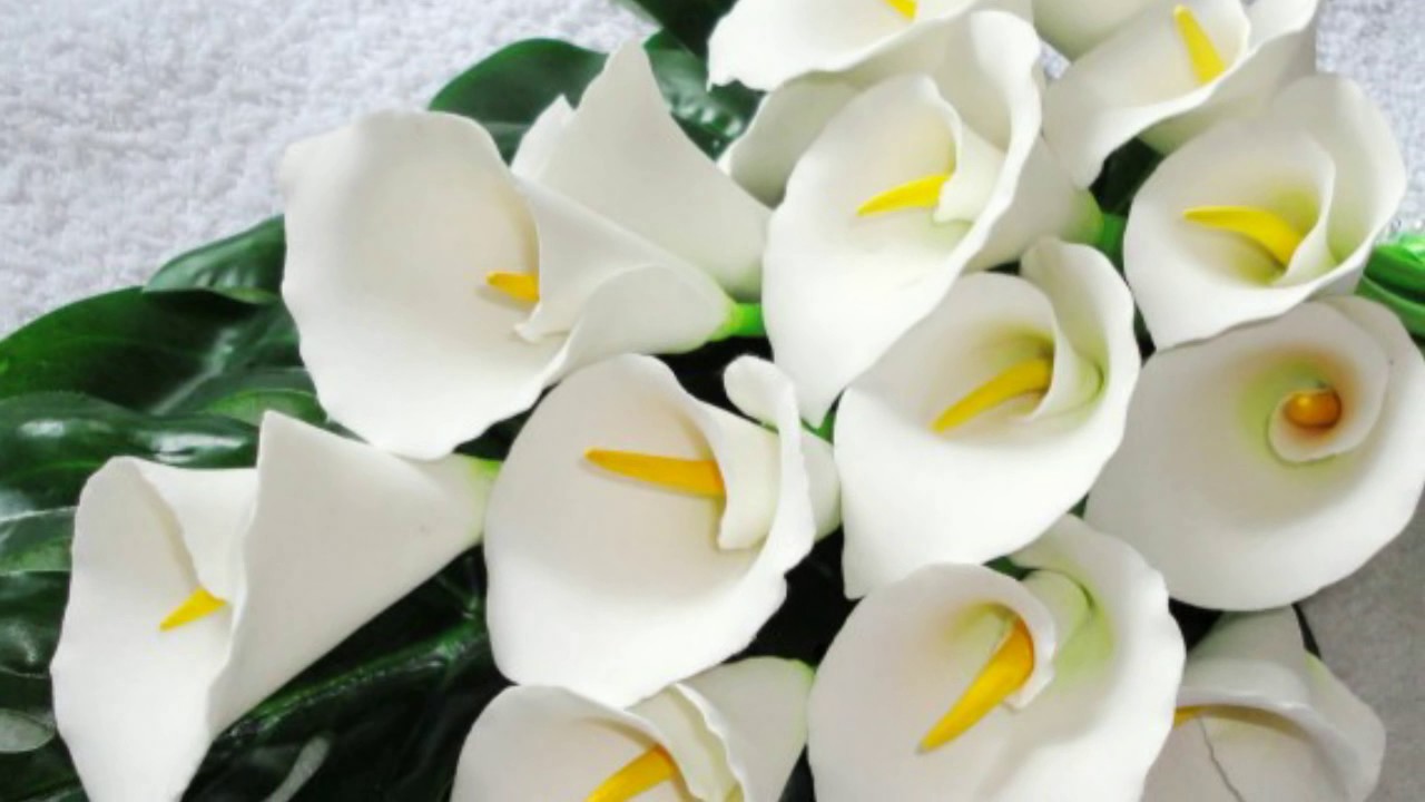 Ei keittiö eikä kylpyhuone: kiinalaisen perinteen mukaan paras paikka kallioille kodissa ei ole keittiö eikä kylpyhuone.