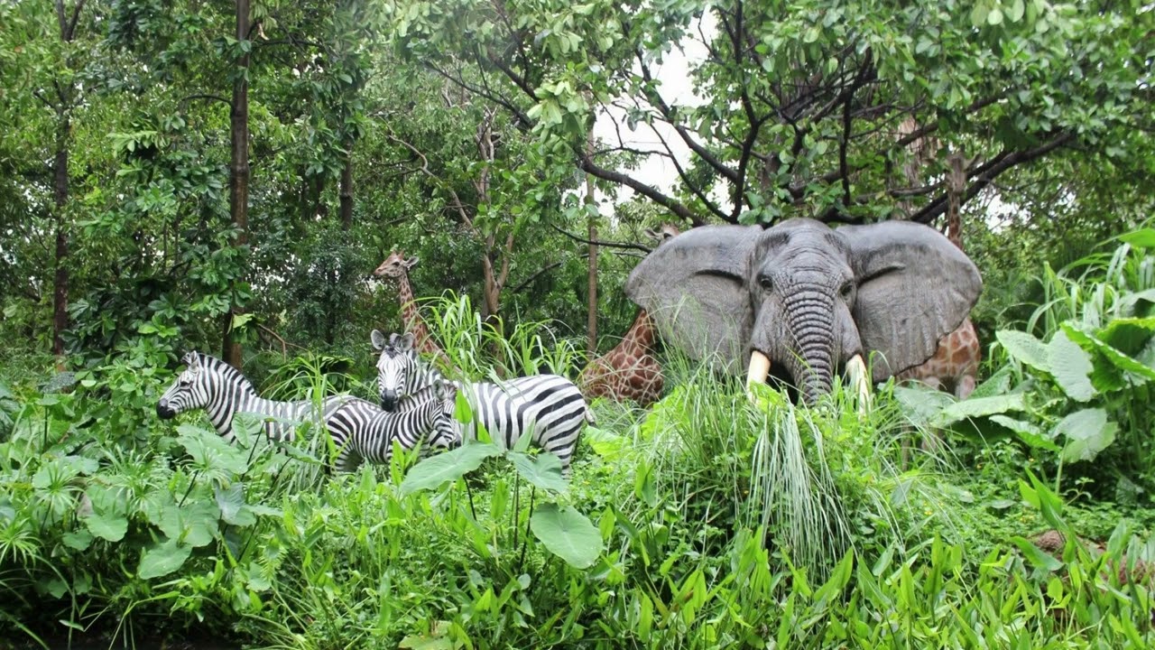 Vuonna 2025 ulkomaalaisten kävijöiden määrä tässä Perun viidakossa sijaitsevassa eläintarhassa viisinkertaistui.