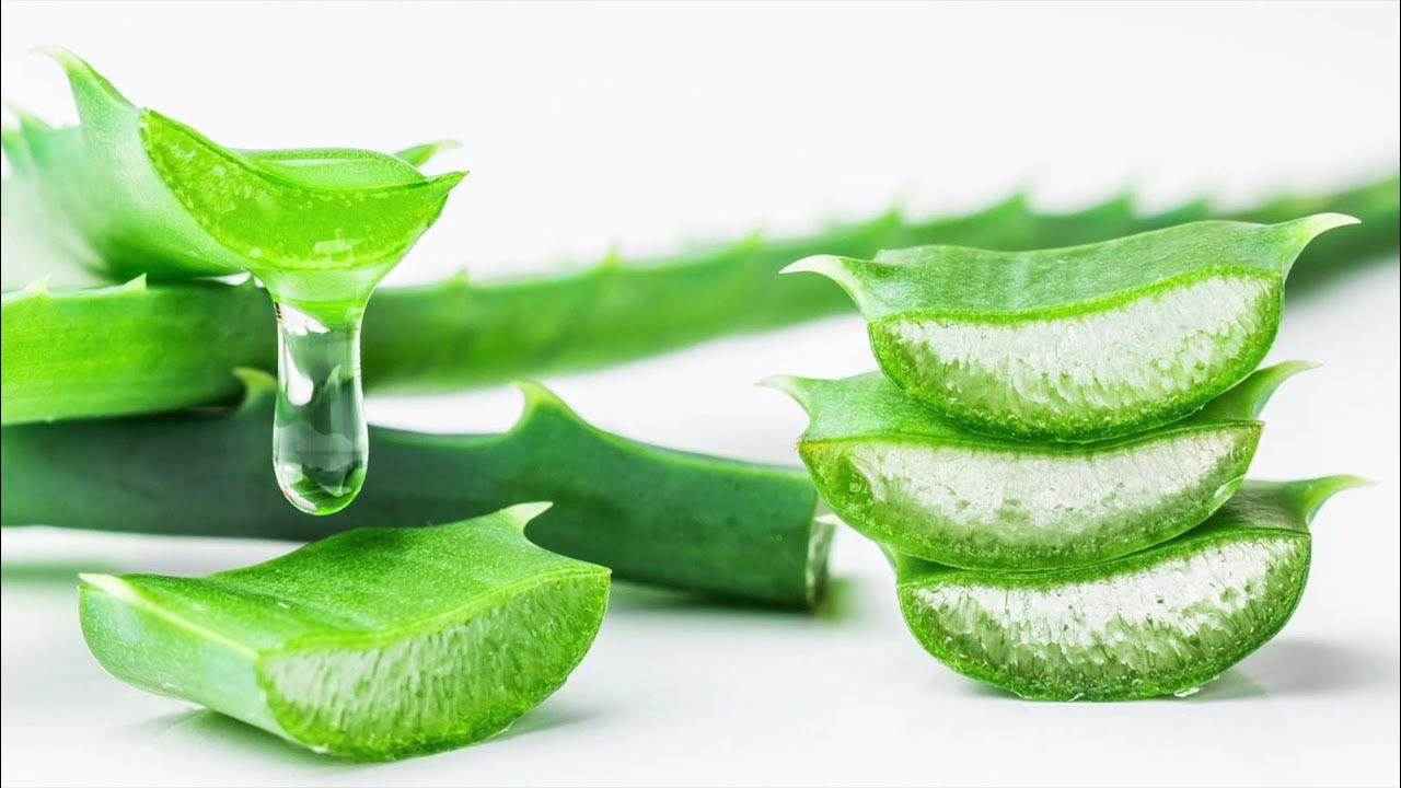 Kuinka valmistaa aloe vera -kasvovoide kollageenin tuotannon stimuloimiseksi ja ihon hoitamiseksi.