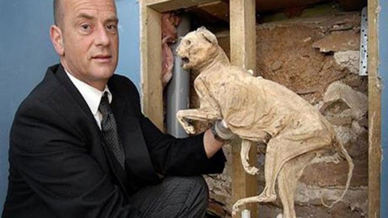 Luolista löydetyt gepardien muumiot voivat auttaa näiden suurten kissojen populaation elvyttämisessä.