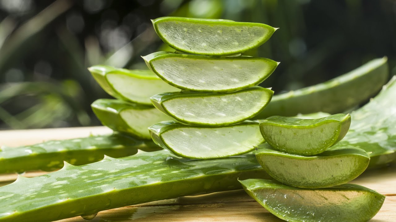 Kuinka valmistaa aloe vera -kasvovoide kollageenin tuotannon stimuloimiseksi ja ihon hoitamiseksi.