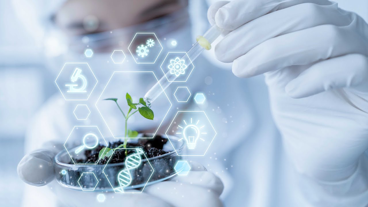 Tieteen valtava saavutus: tutkijat ovat luoneet kestävät maatalouskasvit, jotka kykenevät sitomaan typpeä itsenäisesti.