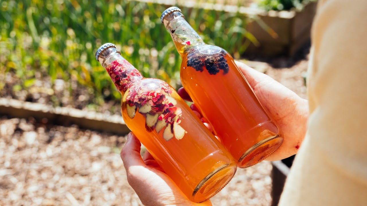 Mikä on kombucha ja miten sitä valmistetaan kotona: fermentoitunut juoma, johon on lisätty probiootteja.