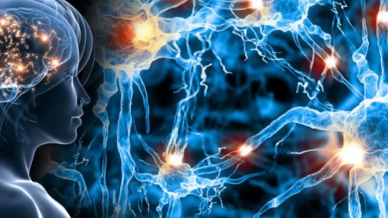 Kuinka aivot luovat ihanteelliset yhteydet neuronien välille: uusi molekyylinen vihje