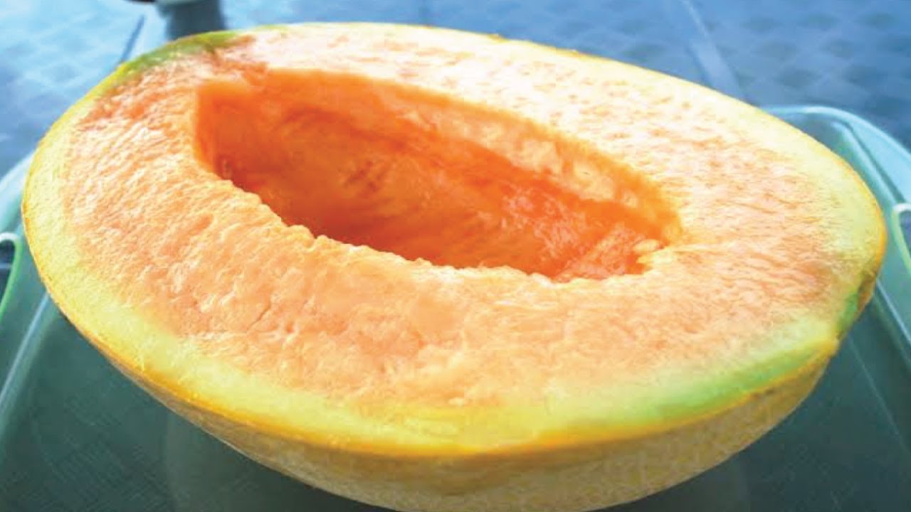 Mihin melonin kuori on hyödyllinen kasveille ja miten sitä käytetään.