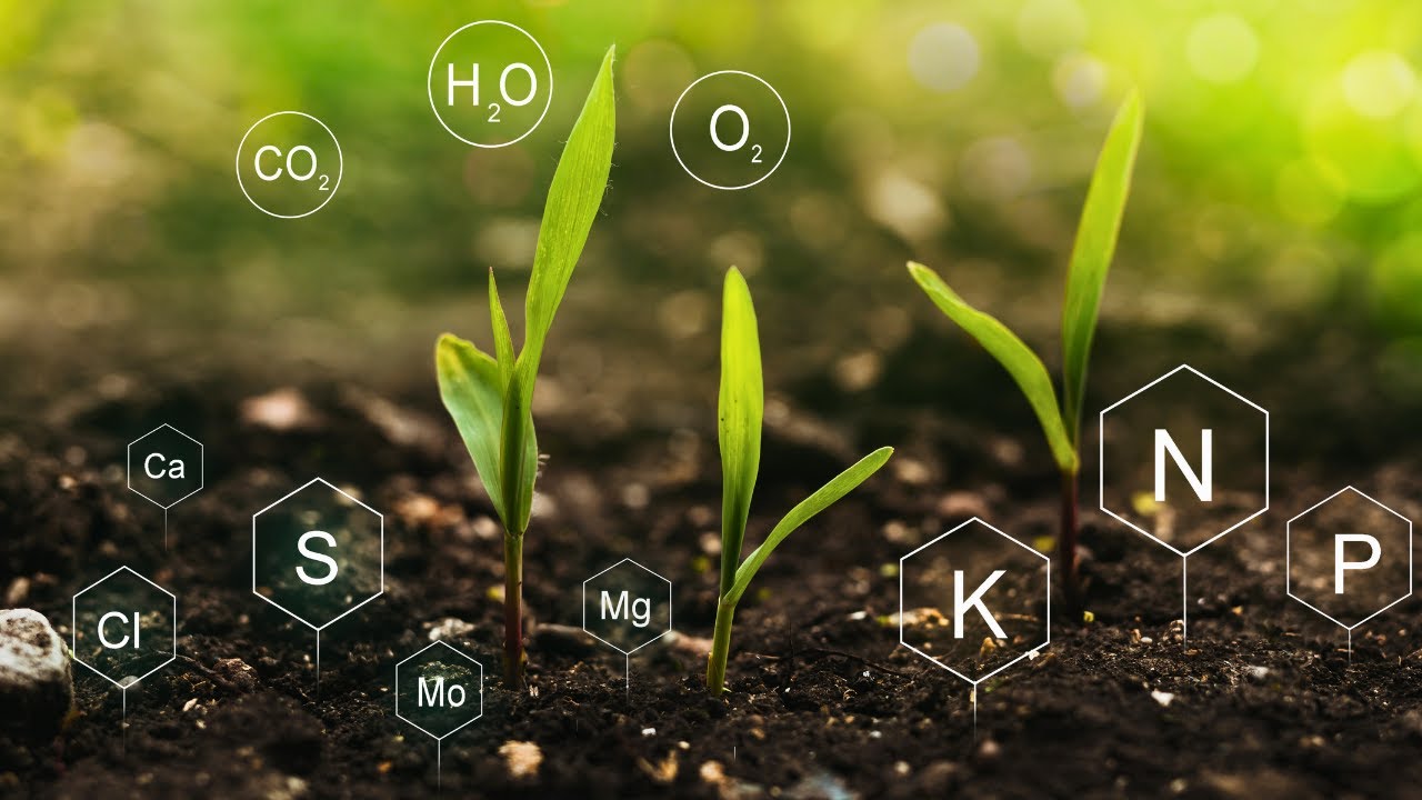 Ympäristöystävällisen lannoitteen valmistaminen tyhjästä: tutkijat ovat kehittäneet menetelmän, jolla ammoniakkia voidaan tuottaa ilman päästöjä huoneenlämmössä käyttämällä kalsiumia.