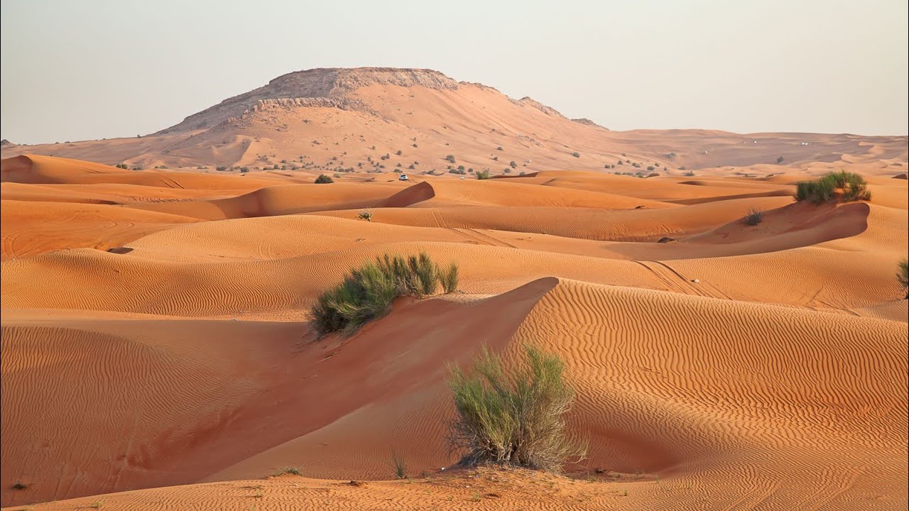 Saudi-Arabia ja Yhdistyneet arabiemiirikunnat tuovat vuosittain miljoonia tonneja hiekkaa, vaikka ne sijaitsevat laajoilla aavikoilla.