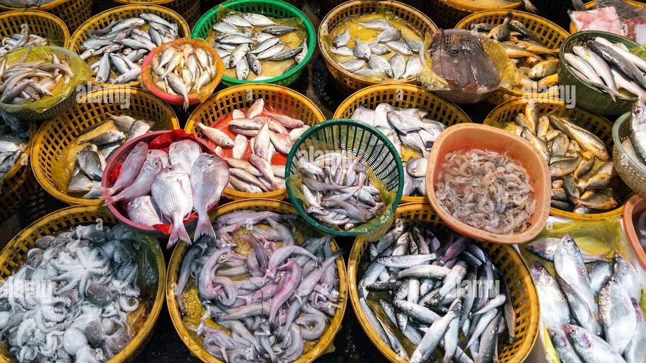 Tuhatvuotisen ajan ihmiset ovat välttäneet Taklamakanin aavikon ylittämistä. Nyt Kiina harjoittaa siellä kalankasvatusta.