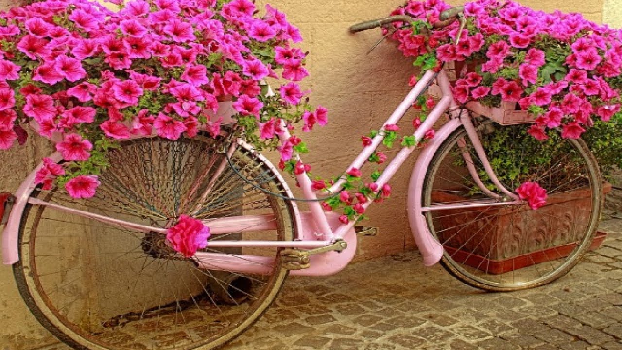 Jos sinulla on kotona vanha polkupyörä, sinulla on aarre: kaksi uutta tapaa käyttää sitä lisäävät sen arvoa.