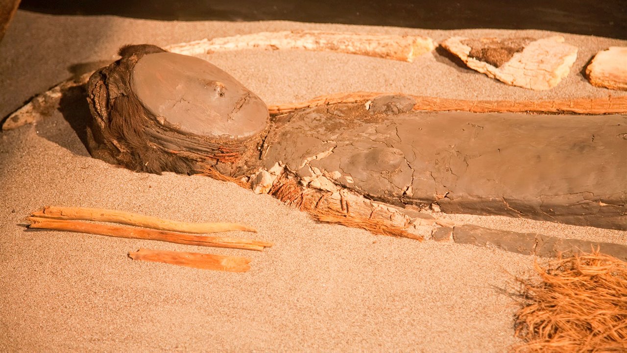 Atakanan esihistorialliset muumiot sisältävät epätavallisen anatomisen yksityiskohdan: se selittää aivojen kutistumisen tuhansien vuosien elämän jälkeen autiomaassa.