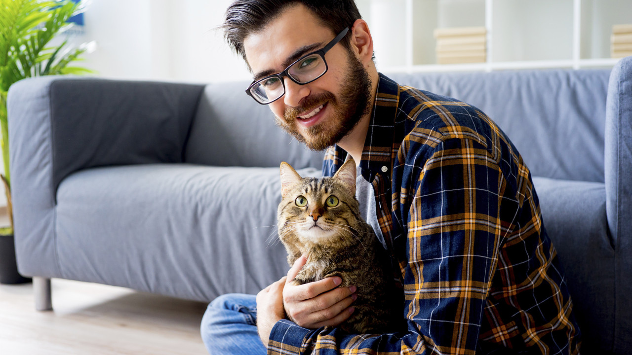 Miksi kissat hierovat itseään ihmisiin?