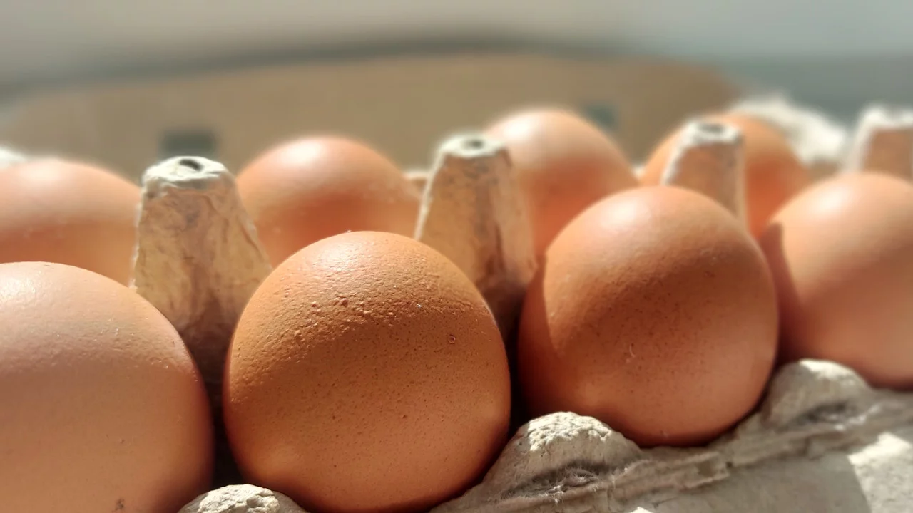 Tutkijat ovat onnistuneet valmistamaan täydellisen munan, ja salaisuus piilee matemaattisessa menetelmässä.