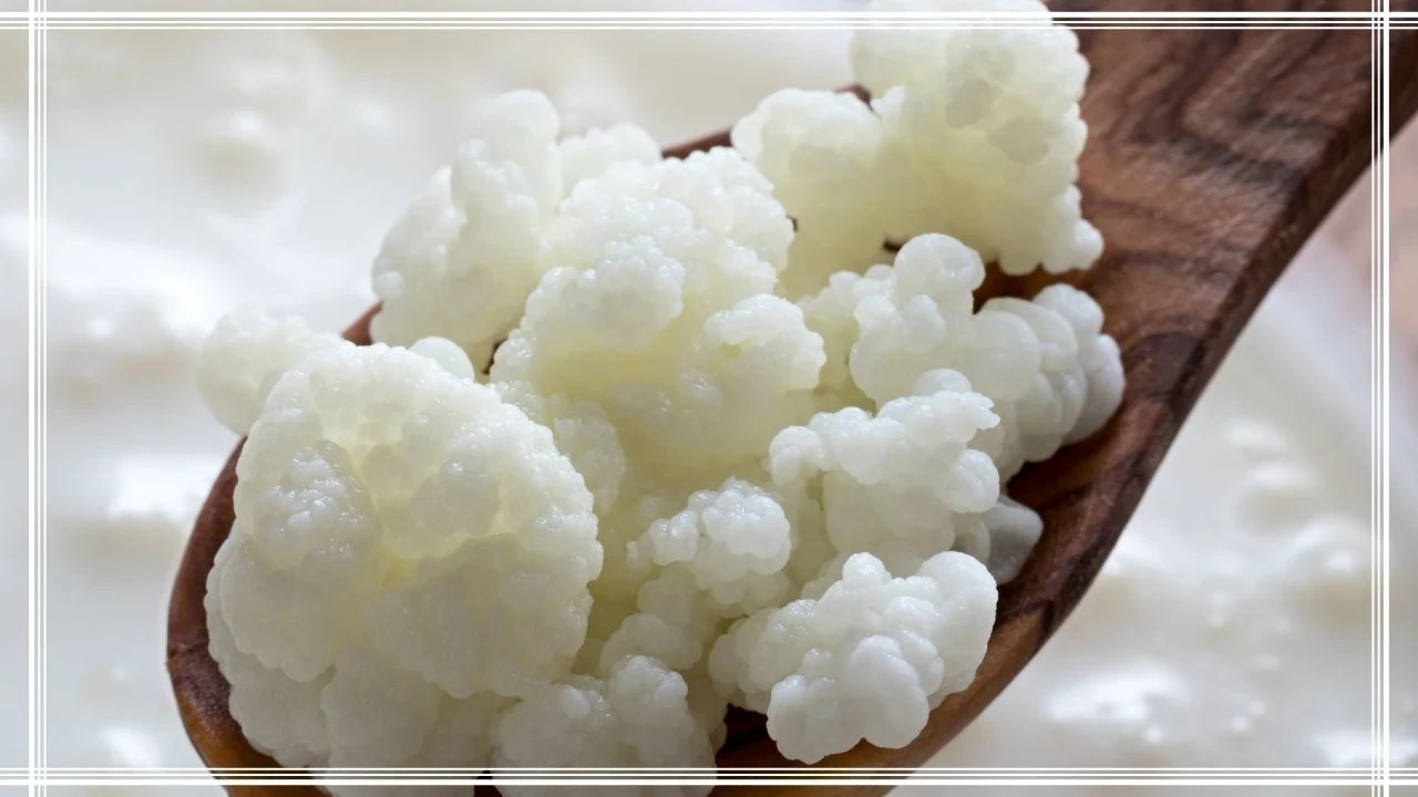 Kuinka valmistaa jyvät vesikefirille: helppo ja tehokas tapa kasvattaa niitä kotona.