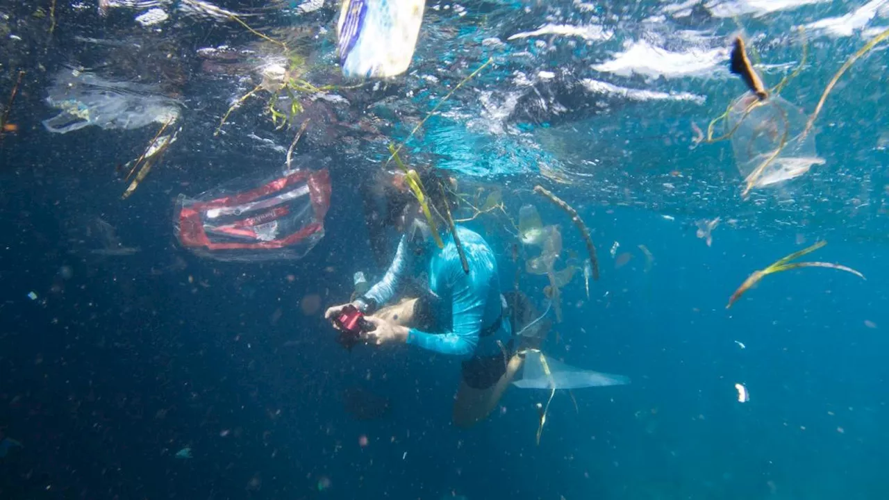 Mikromuovia löydettiin kolmanneksesta tutkituista kaloista syrjäisten Tyynenmeren saarten rannikolla.
