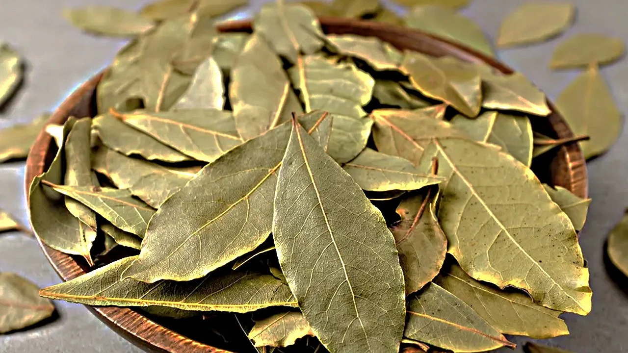 Mihin feng shui -oppien mukaan kuivat laakerinlehdet tulisi sijoittaa, jotta ne toisivat runsauden kotiin?