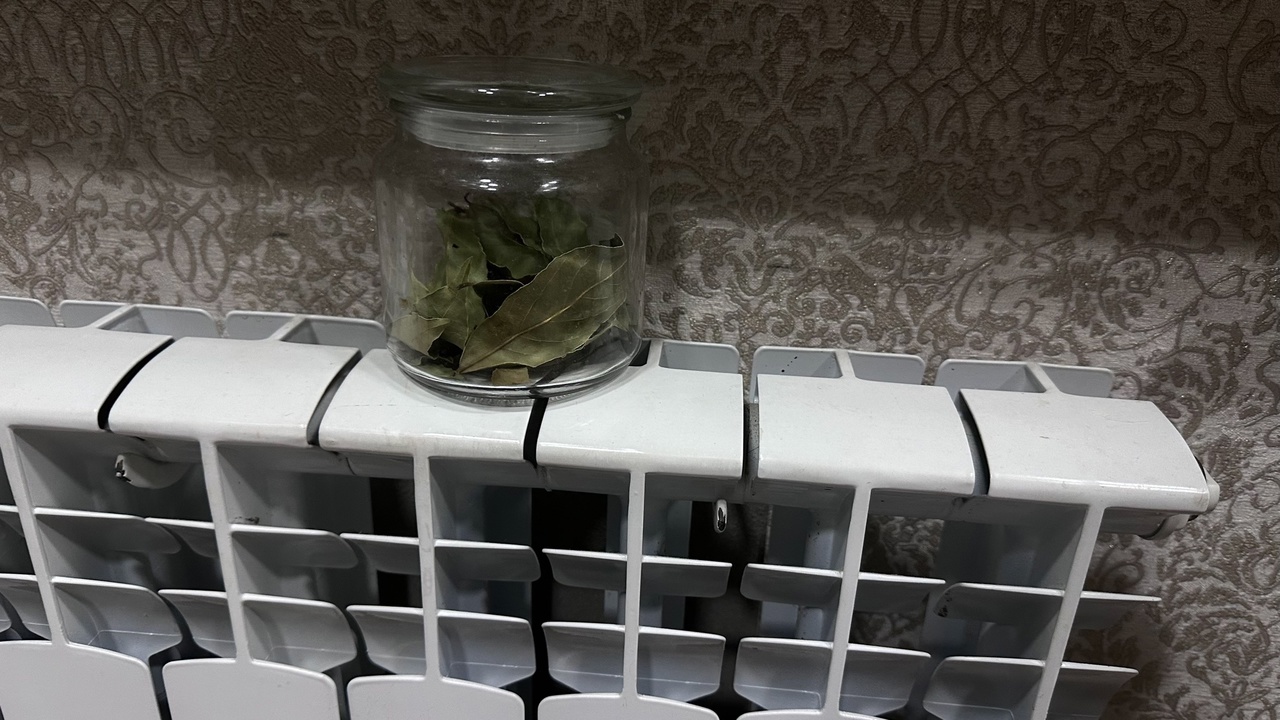 Kuinka täyttää koti luonnollisilla tuoksuilla lämpöpatterin avulla (ja 4 vältettävää virhettä)