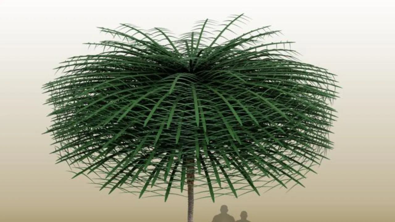 400 miljoonaa vuotta vanhan kasvin tutkiminen paljasti ainutlaatuisen vesityypin, jota ei voida luokitella olemassa olevien luokitusten mukaan.