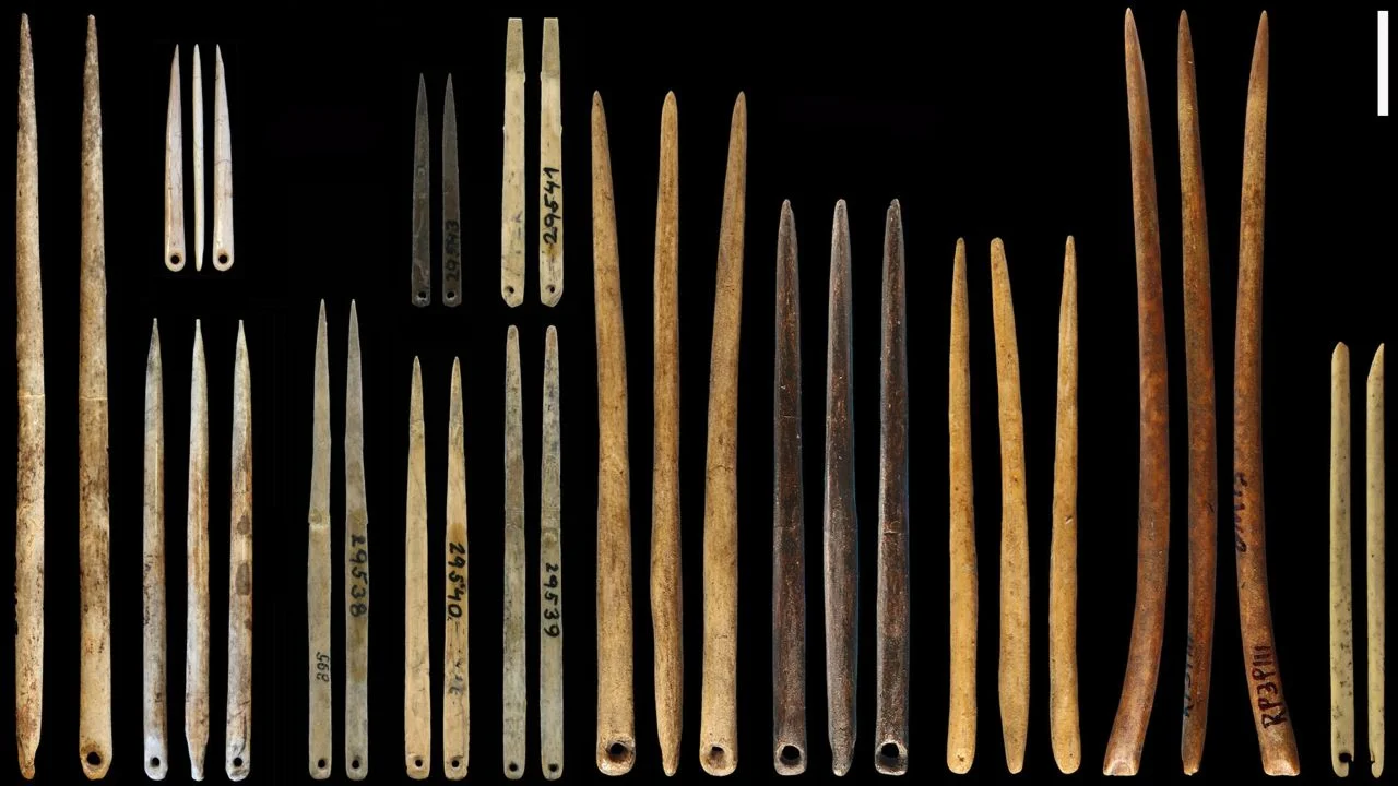 Historiallinen löytö: maasta on löydetty Euroopan vanhin luinen työkalu, jonka ikä on 500 000 vuotta.