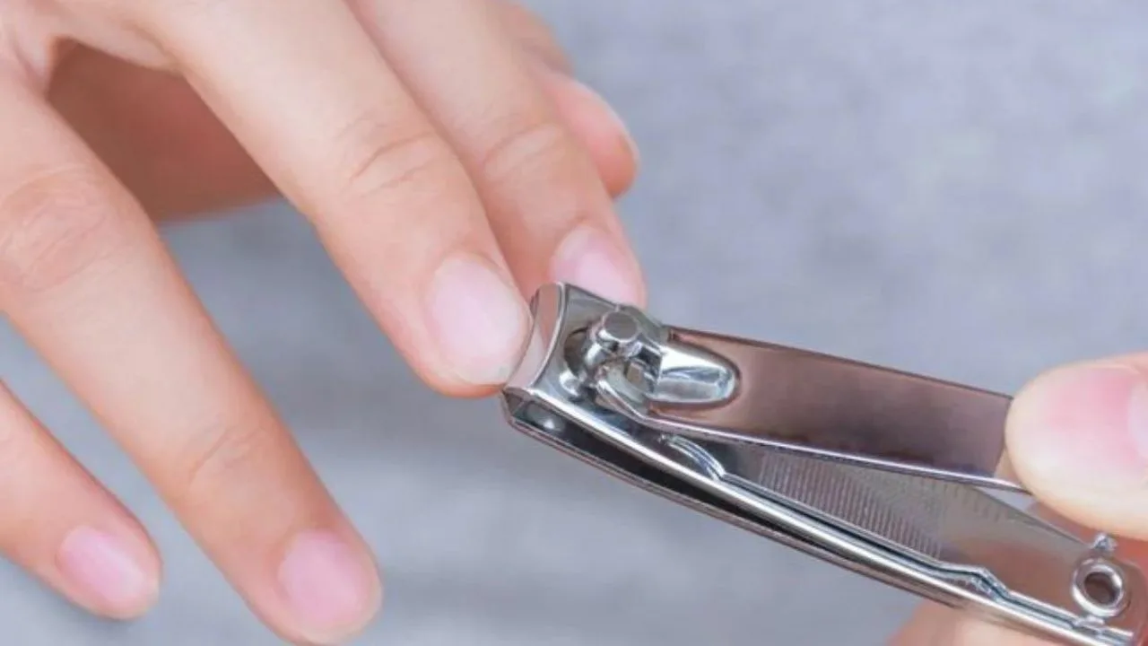 Mihin tarvitaan pieni reikä manikyyrisaksissa?