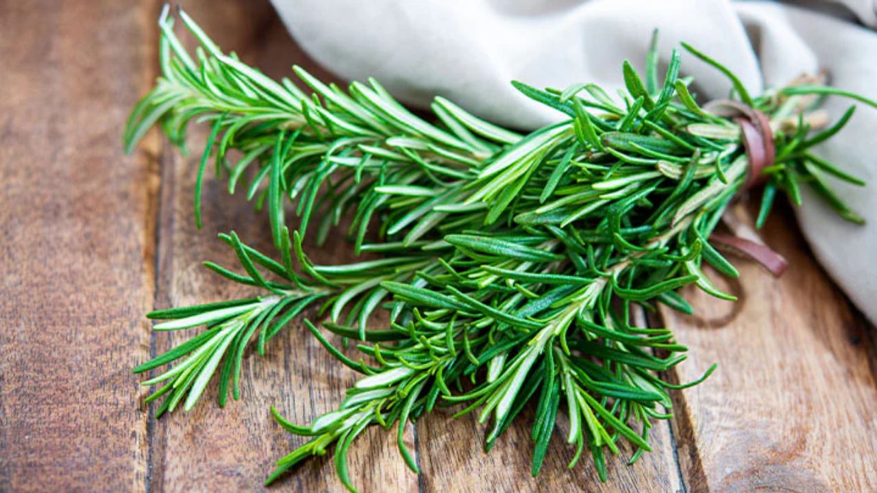 Kolme tuoksuvaa kasvia, jotka kannattaa kylvää helmikuussa, jotta puutarha täyttyy miellyttävällä tuoksulla.