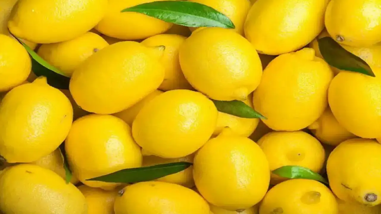 Keittiön lattian pesu vedellä ja sitruunalla: miksi se on tarpeen ja miksi sitä suositellaan.