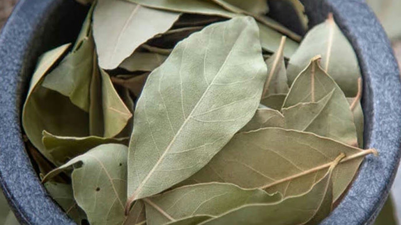 Laakerinlehden ja pesuaineen sekoittaminen: miksi se on suositeltavaa ja mihin se on hyödyllistä.